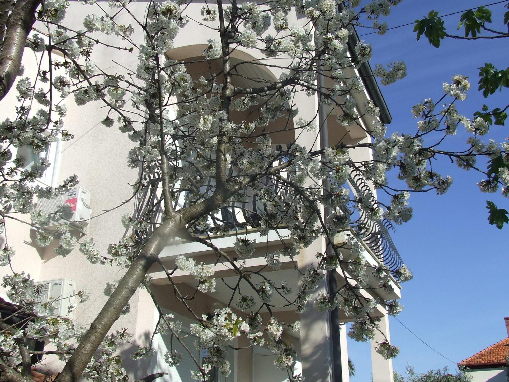 Villa Dalmatia Zadar Bilik gambar