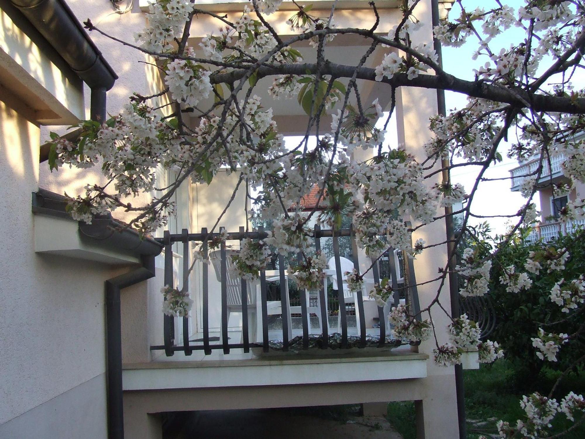 Villa Dalmatia Zadar Bilik gambar